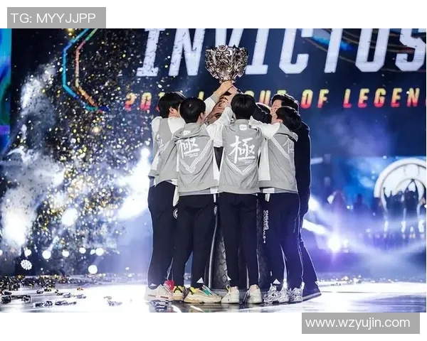 职业联赛特别报道IG战队的崛起与突破之路全景回顾