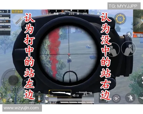 深入解析TES区域防守策略在S15LOL与和平精英中的应用与影响实时数据